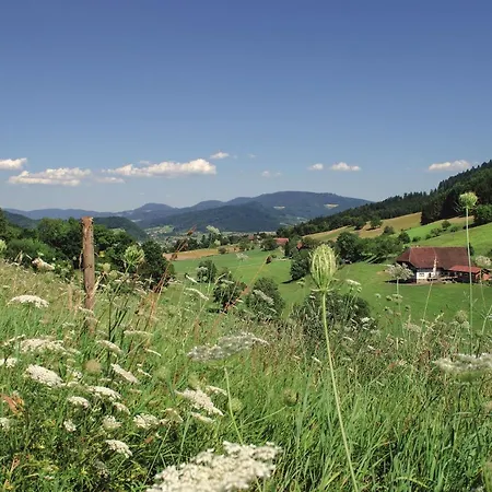 Badischer Hof 4* Biberach bei Offenburg