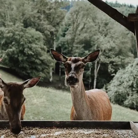 Badischer Hof Hotel Biberach bei Offenburg