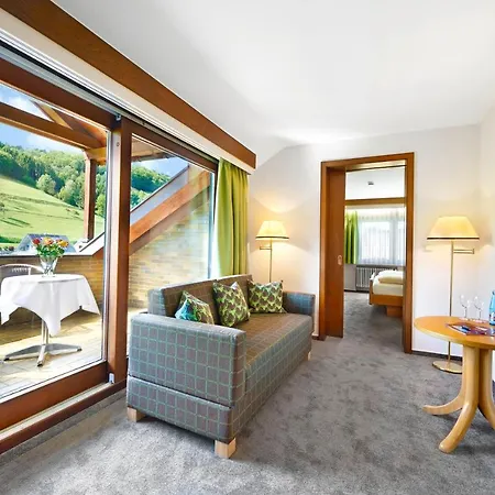 Hotell Badischer Hof Biberach bei Offenburg