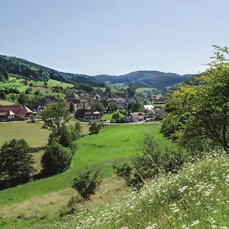 Hotell Badischer Hof Biberach bei Offenburg