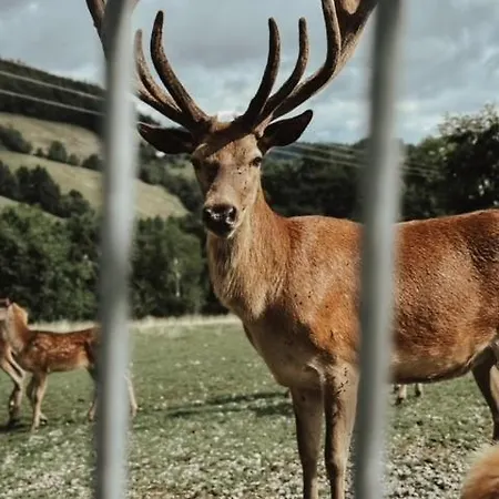 Hotel Badischer Hof Biberach bei Offenburg