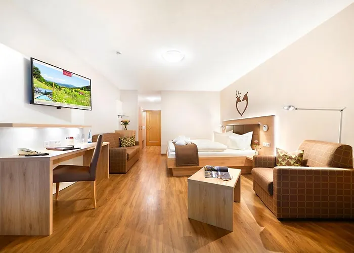 Badischer Hof 酒店 比伯拉赫