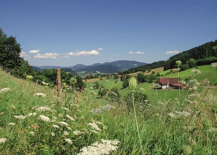 Badischer Hof 4* 比伯拉赫