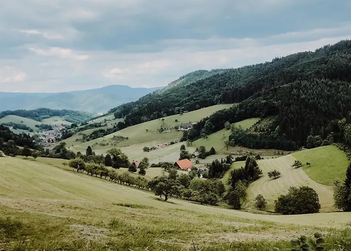 Badischer Hof 4* 比伯拉赫